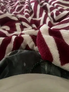 Snapshot of BCFZD chatting on 11-13-25, 01:04 BCFZD online show from 11-13-25, 01:04