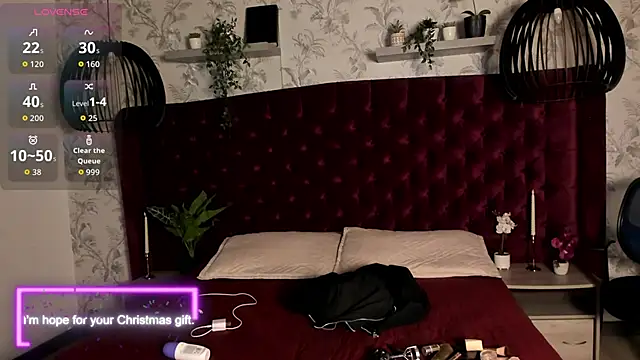 tim  fox online show from 12-15-25, 12:22