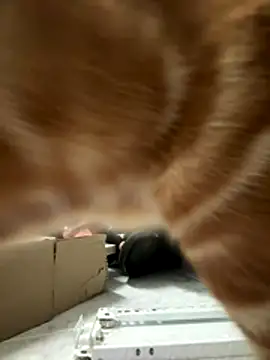 Ginger10 online show from 12-22-25, 02:39