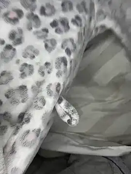 VioletxBlue online show from 03-28-26, 11:33