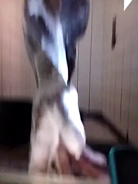 Dube501 online show from 10-12-25, 05:42