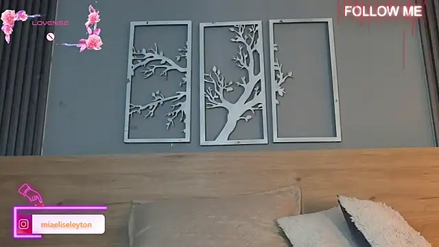 Elise-Leyton online show from 04-30-26, 08:57