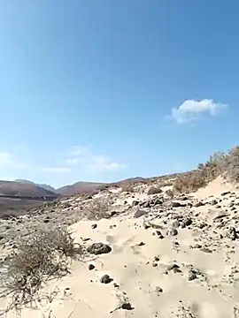 MountJohnXL online show from 03-17-25, 04:22