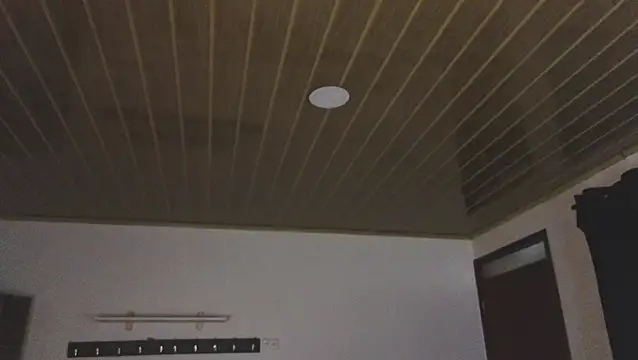 Renaxi Smith online show from 03-21-26, 07:51