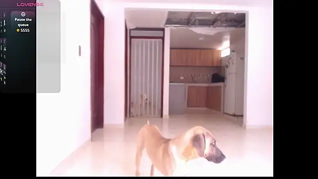 leslycarsson online show from 10-07-25, 07:15