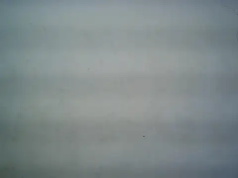 michel1520 online show from 07-16-26, 11:29
