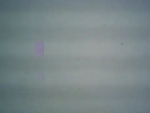 michel1520 online show from 04-11-26, 11:30