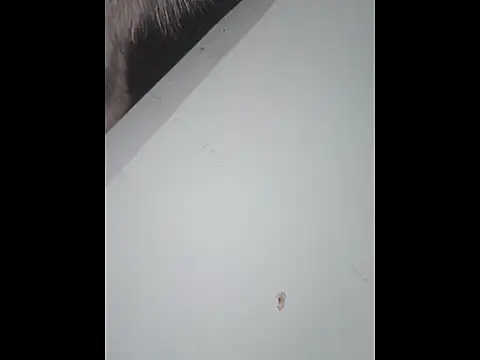 dany hardy online show from 01-10-26, 10:05