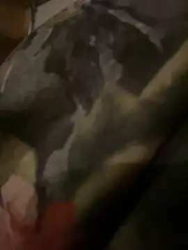 QTeepye online show from 02-19-26, 04:42