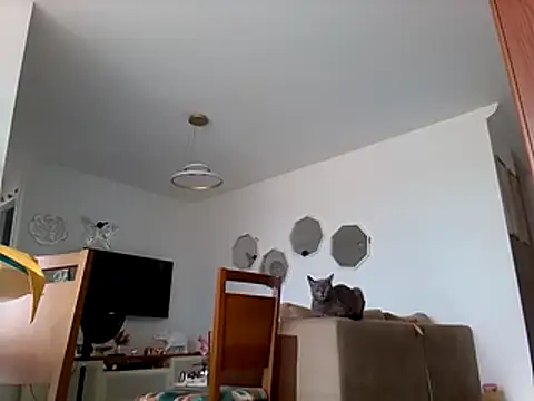 Snapshot of Munnoki chatting on 03-01-26, 10:37 Munnoki online show from 03-01-26, 10:37