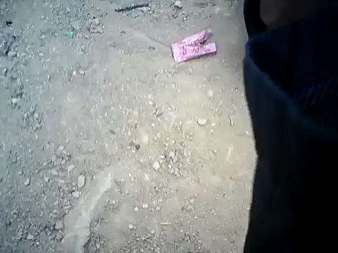 Black Manba online show from 02-24-25, 07:30