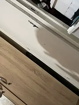 chikhamaisaa online show from 02-11-25, 09:03