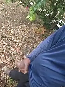 1662 online show from 10-29-25, 11:31