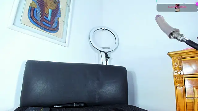 Snapshot of jenny_arango chatting on 09-10-25, 04:11 jenny arango online show from 09-10-25, 04:11