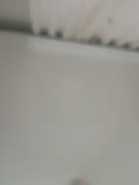 Snapshot of jacaranduba07 chatting on 02-27-25, 08:24 jacaranduba07 online show from 02-27-25, 08:24