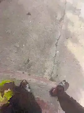 Snapshot of LaneYam chatting on 06-19-26, 12:11 LaneYam online show from 06-19-26, 12:11