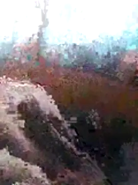 Snapshot of LaneYam chatting on 07-08-26, 06:36 LaneYam online show from 07-08-26, 06:36