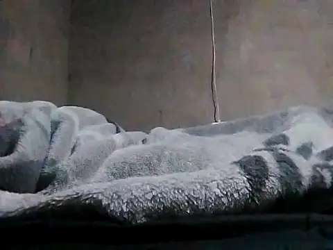 LaneYam online show from 03-24-26, 08:09