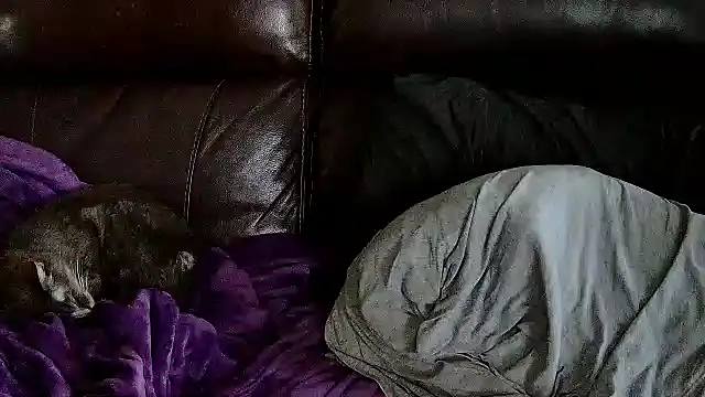 StonerPrincessGenie online show from 03-06-25, 05:33