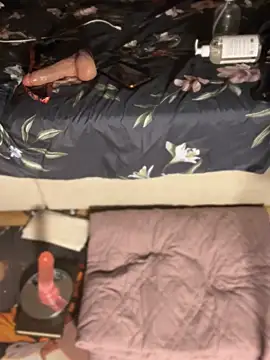 mollyEXD online show from 01-13-26, 02:15