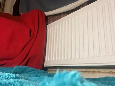 iccmananal online show from 12-23-25, 02:44