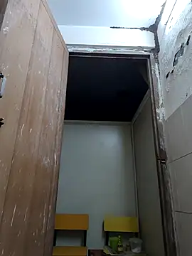 xx54362 online show from 03-15-26, 04:58