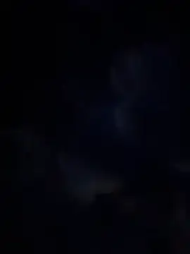 Miia Jazmin online show from 01-13-26, 11:03