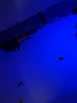 Raziv komal143 online show from 03-10-25, 11:06