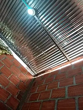 Zoe Sweett18 online show from 02-09-26, 06:28