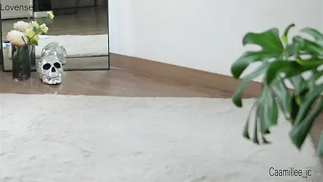 caamillee  online show from 02-24-25, 08:47