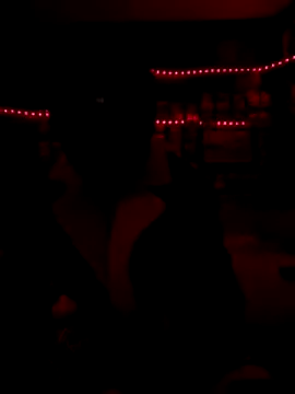 Snapshot of Blade_Ryder666 chatting on 12-17-25, 07:57 Blade Ryder666 online show from 12-17-25, 07:57