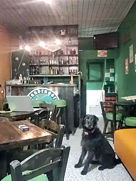 ilonna2025 online show from 03-15-26, 11:34