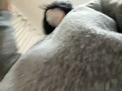 riri riri jp online show from 02-28-26, 10:26