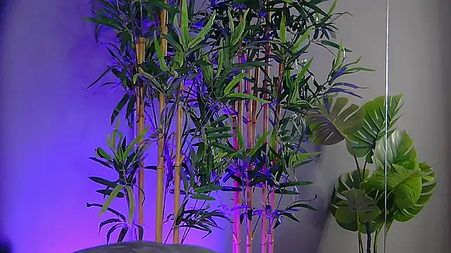 PatriciaSpice online show from 11-09-25, 05:22