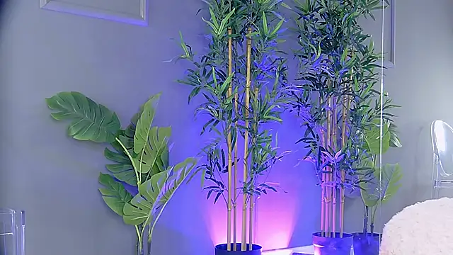 PatriciaSpice online show from 10-29-25, 05:28