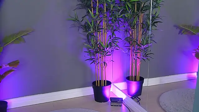 PatriciaSpice online show from 10-08-25, 04:14