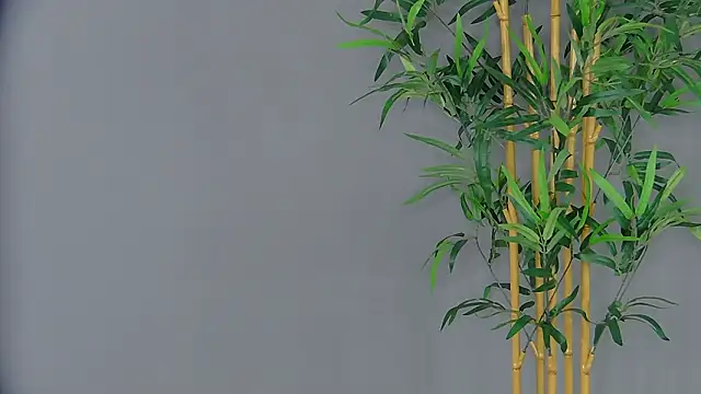 PatriciaSpice online show from 03-03-26, 05:14