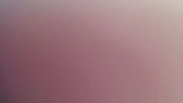 Kitten Cam online show from 04-29-26, 10:38