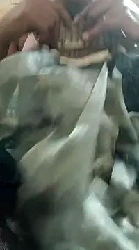 chocobbsimarn online show from 03-19-25, 10:53