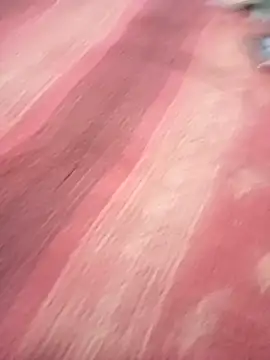 bdmaksuda1 online show from 03-21-25, 04:07