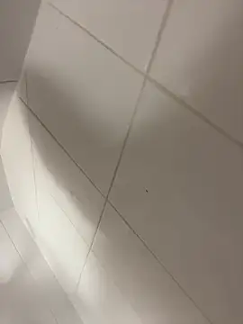 wyattstone online show from 02-07-26, 09:56