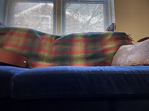 Prolapse Pig online show from 02-04-25, 09:20