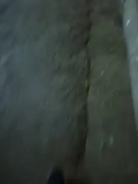 Raj41 online show from 12-03-25, 03:11