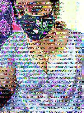 Queenflowerr online show from 11-17-25, 09:46