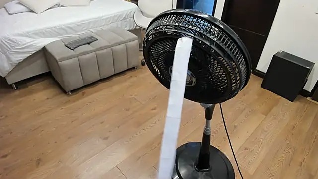 Mara Torres1 online show from 03-05-25, 03:07