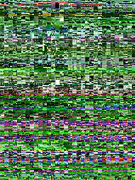 I am babydoll online show from 01-06-26, 12:14