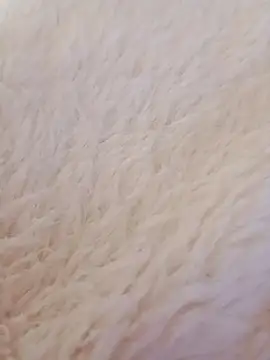 Snapshot of feketedemon36 chatting on 01-21-25, 09:15 feketedemon36 online show from 01-21-25, 09:15