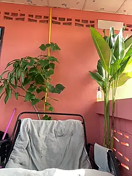 White Lu online show from 04-23-26, 02:07