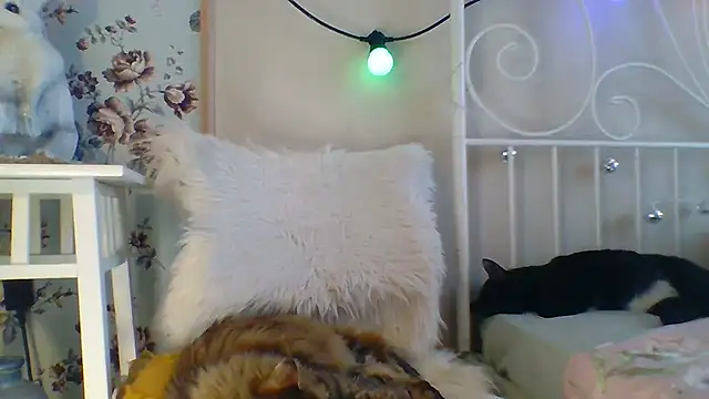 Frankie Foxie online show from 02-18-25, 06:04