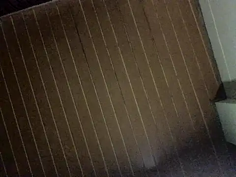 Nooneisthis online show from 12-03-25, 06:36